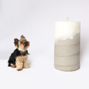 Vela gigante com cachorro ao lado